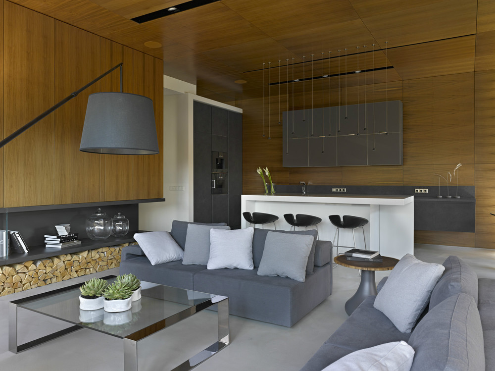 modern wooden living room decor