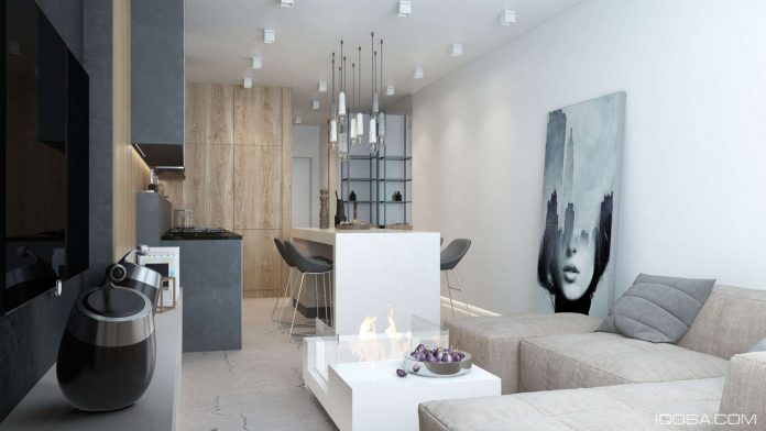 Luxury Small Studio Apartment Design Combined Modern and Minimalist