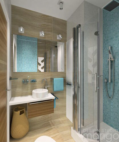 blue accent bathroom design