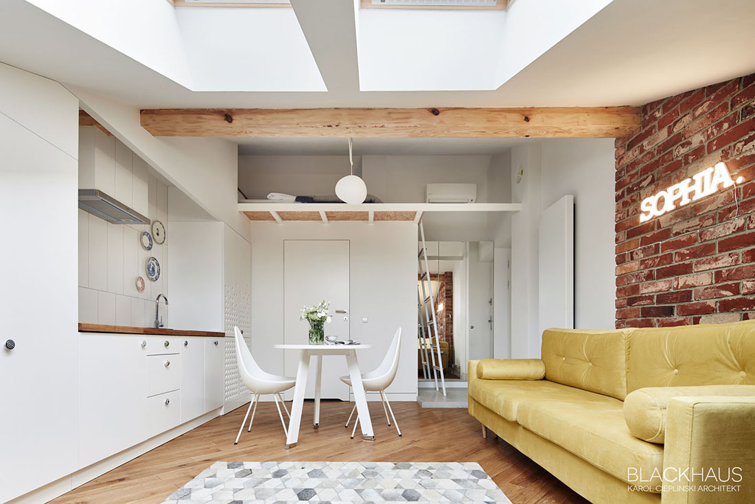 compact-open-plan-apartment-with-loft 