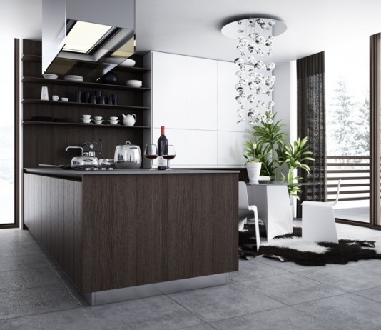 contemporary black and white kitchen design