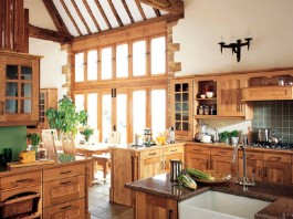 Small kitchen design