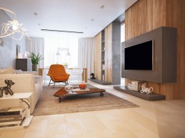 Minimalist interior design
