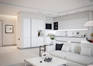 Small Apartment Design For Couples With White Color Scheme Ideas - RooHome