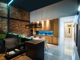 Masculine apartment design and decorating ideas