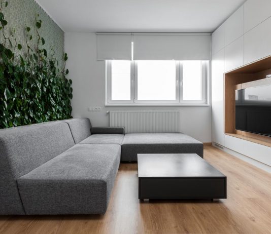 Elegant living room interior design