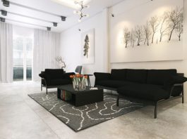 living room monochrome designs