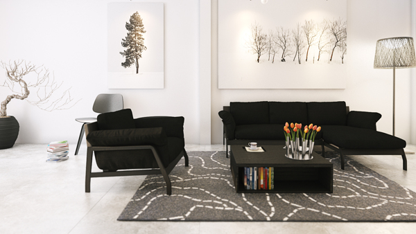 monochrome living room home designs