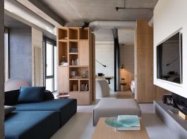 Minimalist penthouse design