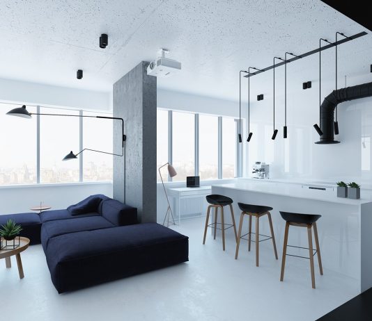 Black and white small apartment design ideas