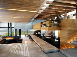 living room designs idea