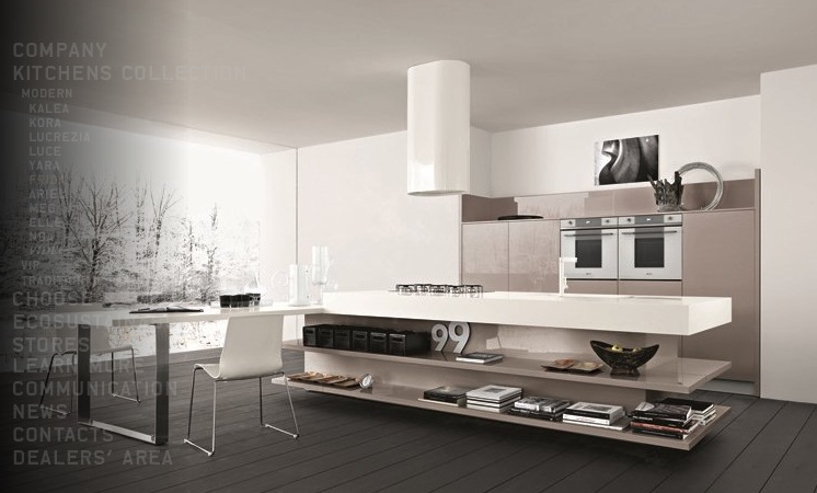 modern kitchen design looks trendy