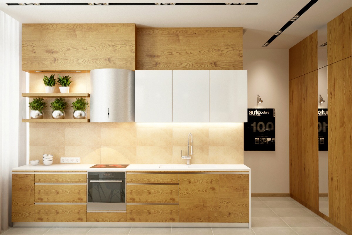 Modern Kitchen Designs With Wooden, White And Wood Kitchen Cabinet Ideas