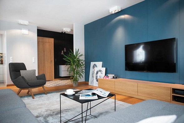 Contemporary living room ideas