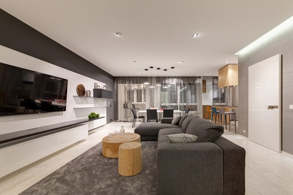 Contemporary living room interior