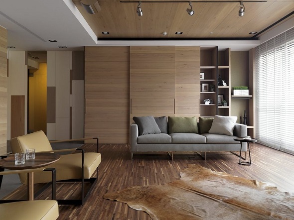 Contemporary apartment design