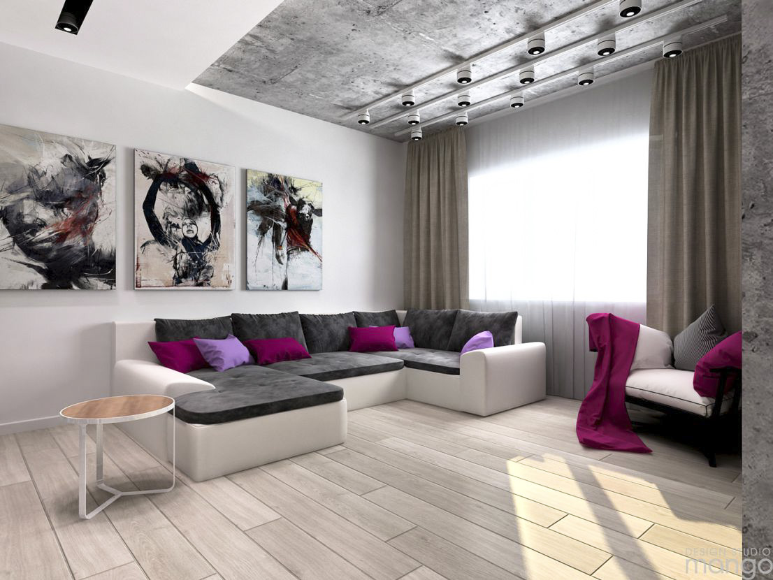 luxury spacious living room