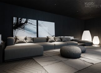 luxury spacious dark living room