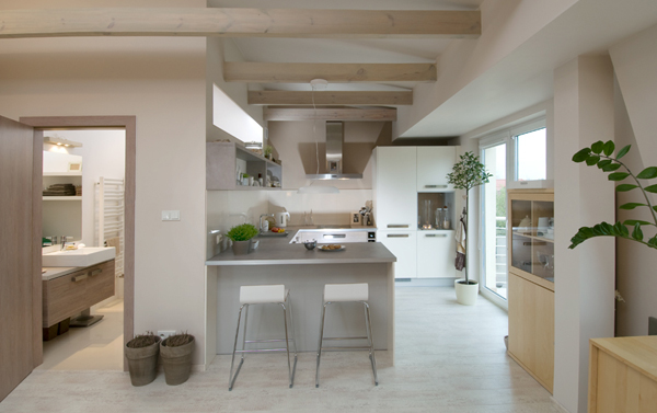 minimalist interior loft design