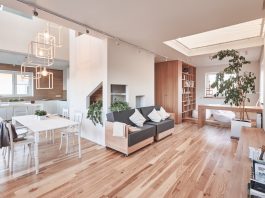 modern minimalist open plan design