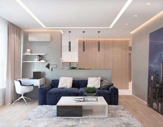 Modern Apartment Concept with Modern Color Scheme and Natural Wood ...