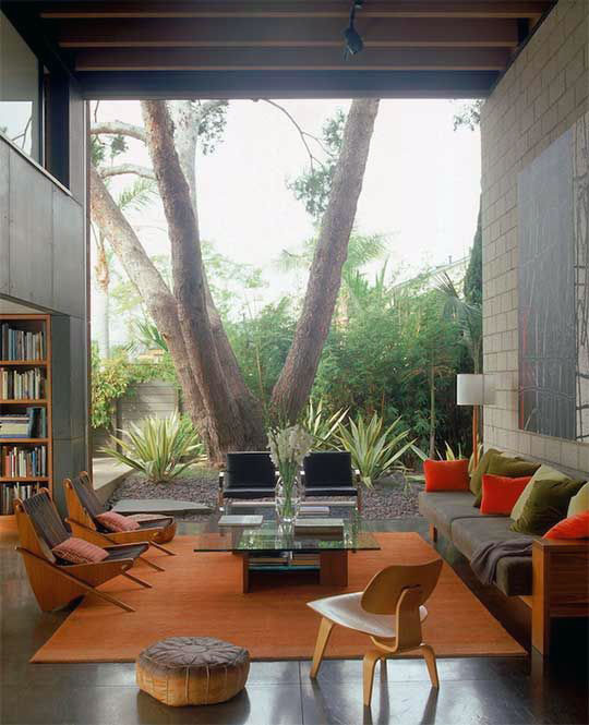 Modern Living Room Window Concept 1