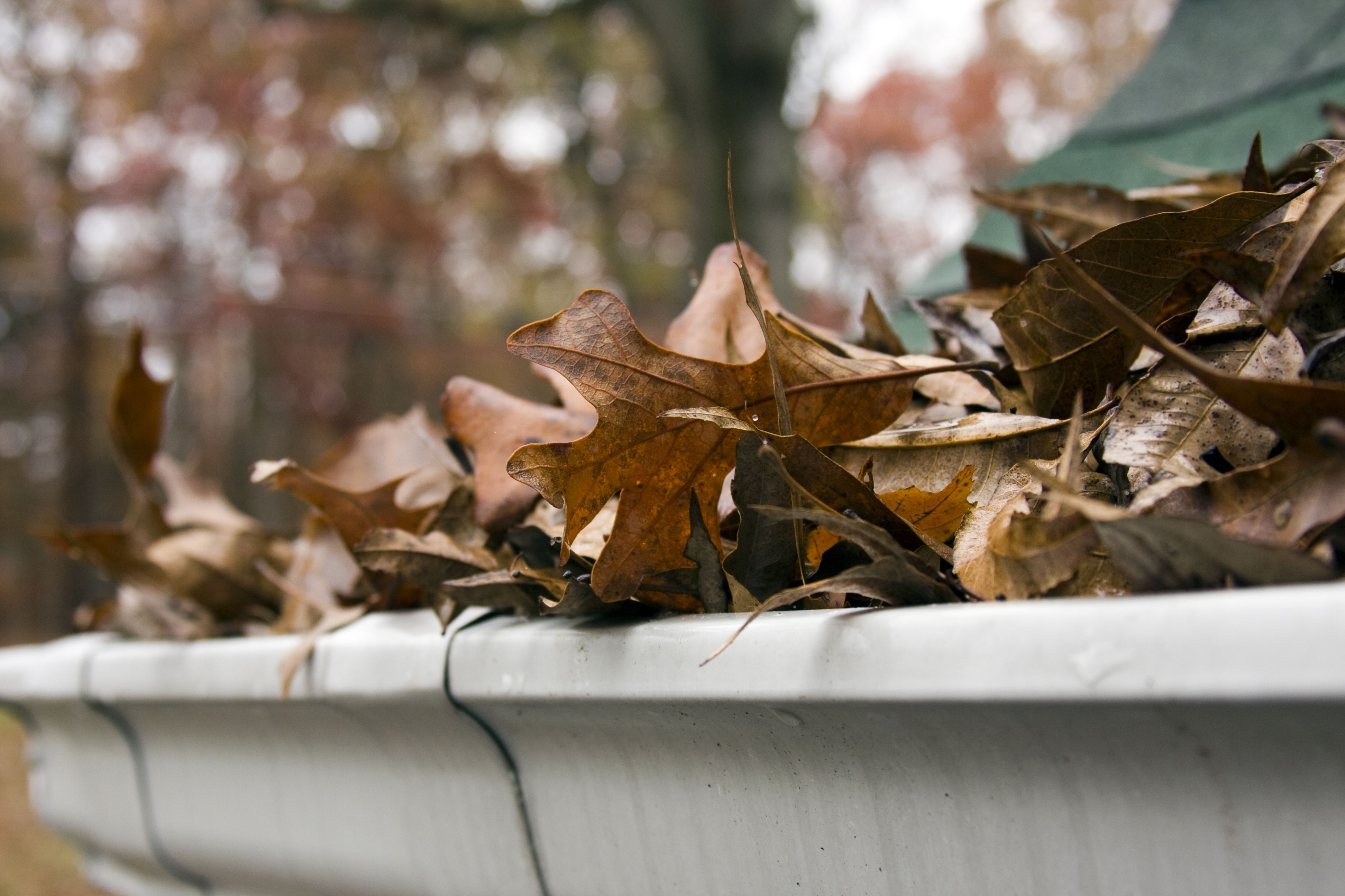 gutter guard enviromental