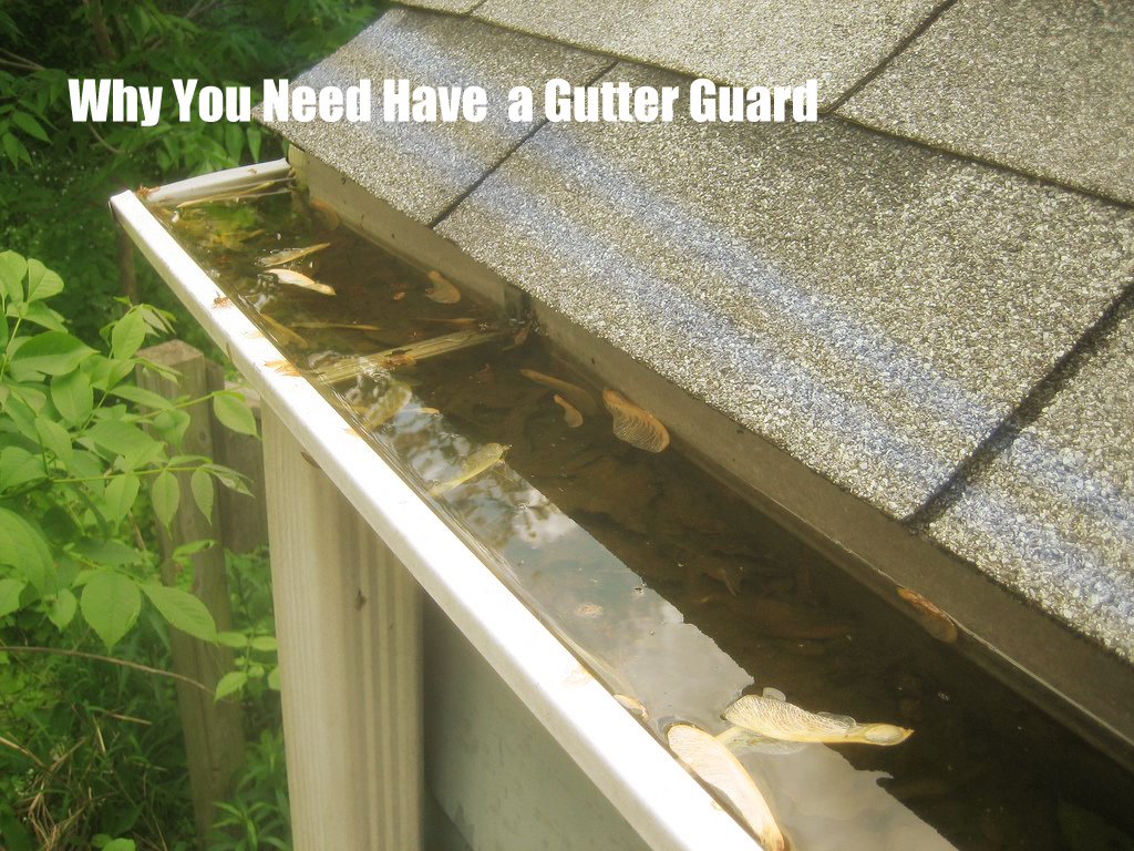 why you need a gutter guard copy