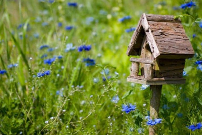 Make your Garden a Wildlife Haven RooHome