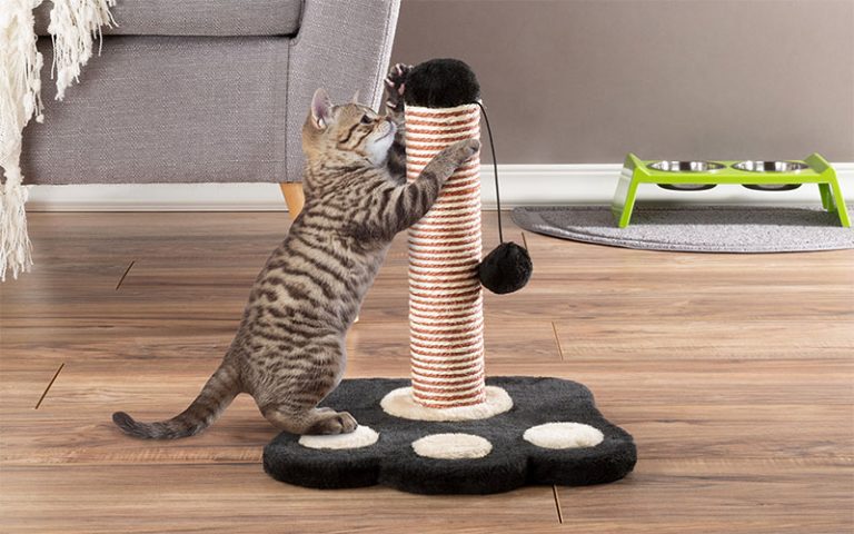 make your own cat scratching post