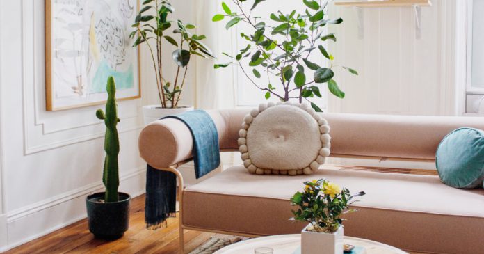 Top 5 Tips to Turn Your Home into an Urban Jungle in 2021 - RooHome