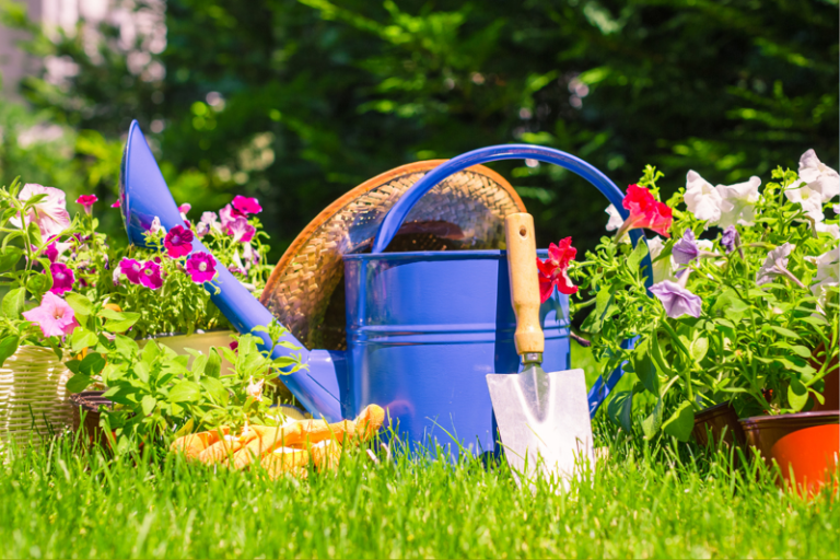 How To Keep Your Garden Looking Its Best Roohome